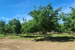 0 George Rd, Williams, CA 95987 - Photo 1