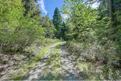 1535 Derbec Road, Nevada City, CA 95959 - Photo 15