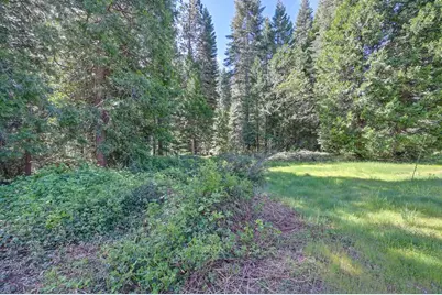 1535 Derbec Road, Nevada City, CA 95959 - Photo 17