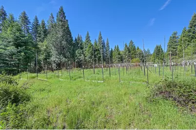 1535 Derbec Road, Nevada City, CA 95959 - Photo 9