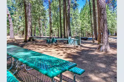 3319 Hazel Street, Pollock Pines, CA 95726 - Photo 35