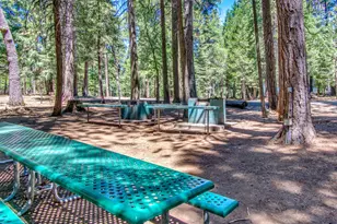 3319 Hazel St, Pollock Pines, CA 95726 - Photo 35