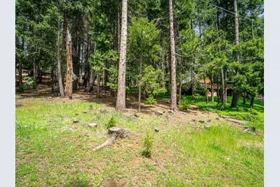 3319 Hazel Street, Pollock Pines, CA 95726 - Photo 29