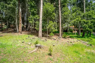 3319 Hazel St, Pollock Pines, CA 95726 - Photo 29
