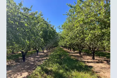 5000 Ord Ferry, Chico, CA 95928 - Photo 17