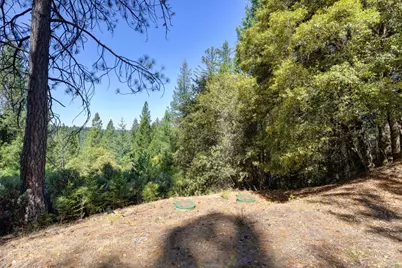 26877 Norton Grade Road, Colfax, CA 95713 - Photo 7