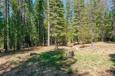 10730 Jasper Agate Court, Nevada City, CA 95959 - Photo 7