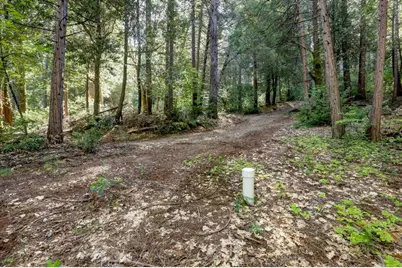 0 Tay Lane, Nevada City, CA 95959 - Photo 35