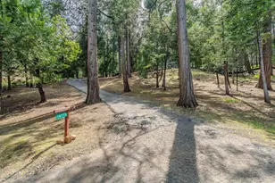 16775 S Silver Dr, Pioneer, CA 95666 - Photo 55