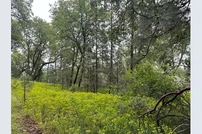 0 Campo Flores Lane, West Point, CA 95225 - Photo 17