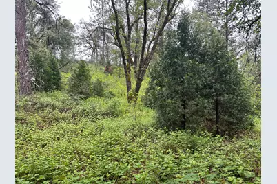 0 Campo Flores Lane, West Point, CA 95225 - Photo 19