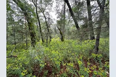 0 Campo Flores Lane, West Point, CA 95225 - Photo 27