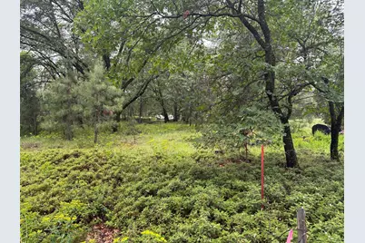 0 Campo Flores Lane, West Point, CA 95225 - Photo 13