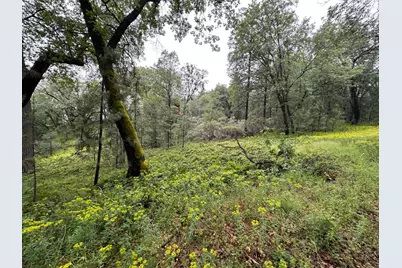 0 Campo Flores Lane, West Point, CA 95225 - Photo 25