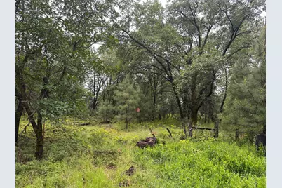 0 Campo Flores Lane, West Point, CA 95225 - Photo 11