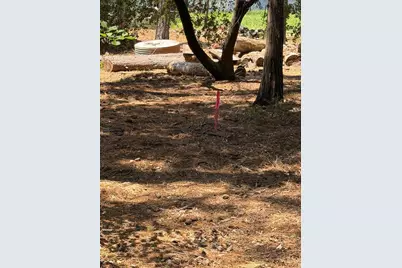 4631 Dear Abby Road, Forest Ranch, CA 95942 - Photo 5