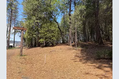4631 Dear Abby Road, Forest Ranch, CA 95942 - Photo 1