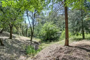 1205 Tokayana Ranch Ln, Colfax, CA 95713 - Photo 49