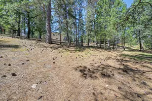1205 Tokayana Ranch Ln, Colfax, CA 95713 - Photo 43
