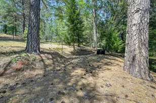 1205 Tokayana Ranch Ln, Colfax, CA 95713 - Photo 45