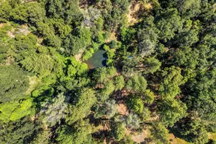 1205 Tokayana Ranch Ln, Colfax, CA 95713 - Photo 49