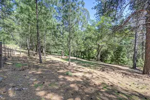 1205 Tokayana Ranch Ln, Colfax, CA 95713 - Photo 45