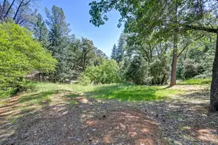 1205 Tokayana Ranch Ln, Colfax, CA 95713 - Photo 51