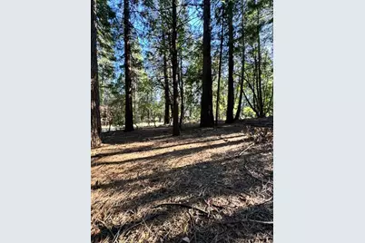 27059 Antelope Drive, Pioneer, CA 95666 - Photo 1