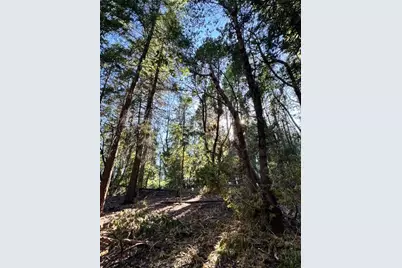 27059 Antelope Drive, Pioneer, CA 95666 - Photo 25