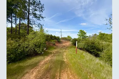 0 Fricot City Rd, Sheep Ranch, CA 95246 - Photo 5