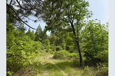 0 Fricot City Rd, Sheep Ranch, CA 95246 - Photo 7