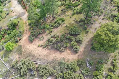 0 Fricot City Rd, Sheep Ranch, CA 95246 - Photo 9