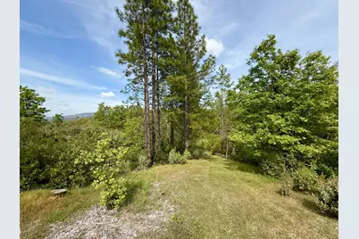 0 Fricot City Rd, Sheep Ranch, CA 95246 - Photo 17