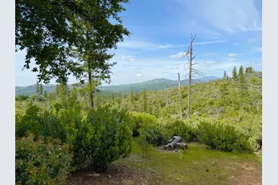 0 Fricot City Rd, Sheep Ranch, CA 95246 - Photo 1