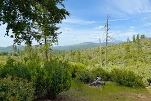 0 Fricot City Rd, Sheep Ranch, CA 95246 - Photo 1