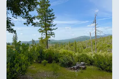 0 Fricot City Rd, Sheep Ranch, CA 95246 - Photo 3