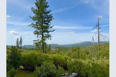 0 Fricot City Rd, Sheep Ranch, CA 95246 - Photo 15