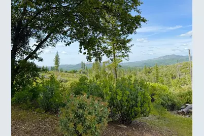 0 Fricot City Rd, Sheep Ranch, CA 95246 - Photo 13
