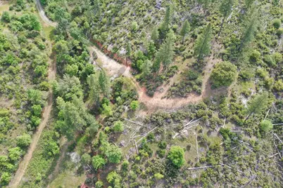 0 Fricot City Rd, Sheep Ranch, CA 95246 - Photo 11