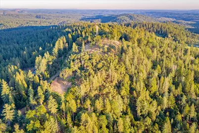 3280 Chipmunk Trail, Georgetown, CA 95634 - Photo 19