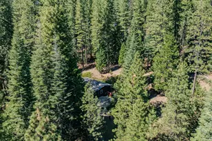 27395 Chaparral Dr, Pioneer, CA 95666 - Photo 43