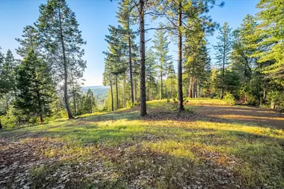 3260 Chipmunk Trail, Georgetown, CA 95634 - Photo 3