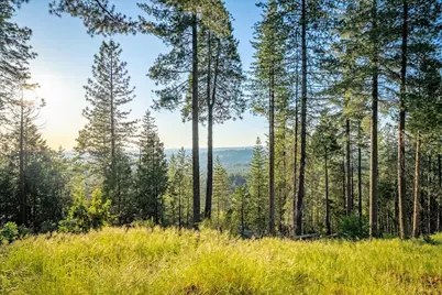 3260 Chipmunk Trail, Georgetown, CA 95634 - Photo 5