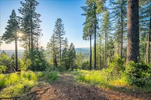 3260 Chipmunk Trail, Georgetown, CA 95634 - Photo 1