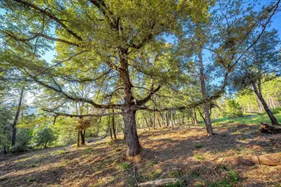 6880 Wentworth Springs Road, Georgetown, CA 95634 - Photo 11