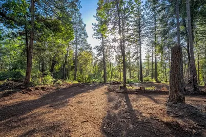 6880 Wentworth Springs Road, Georgetown, CA 95634 - Photo 5