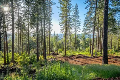 6880 Wentworth Springs Road, Georgetown, CA 95634 - Photo 1