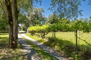 4940 Holly Dr, Shingle Springs, CA 95682 - Photo 39