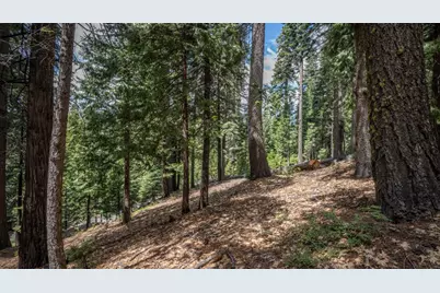 4648 Jibway Drive, Dorrington, CA 95223 - Photo 5