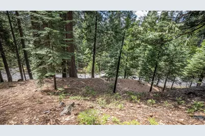 4648 Jibway Drive, Dorrington, CA 95223 - Photo 9